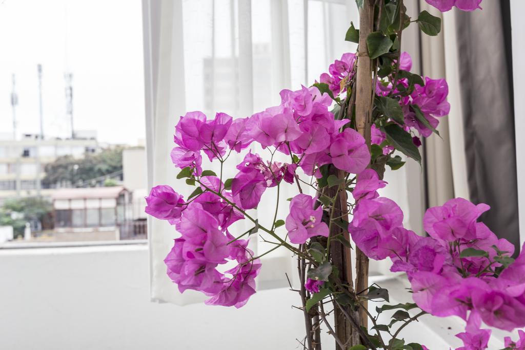 Autor Bed & Breakfast Lima Bagian luar foto